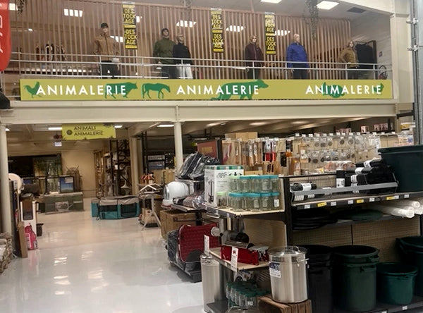 Bespoke Multi-Scenario LED Display Solution for French Supermarket Chain in Corsica